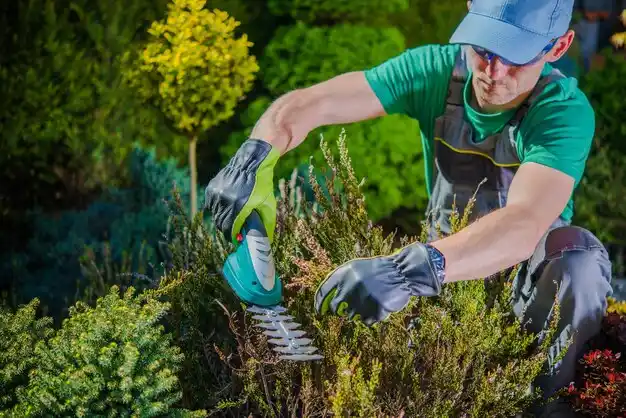 landscaping services North Zanesville